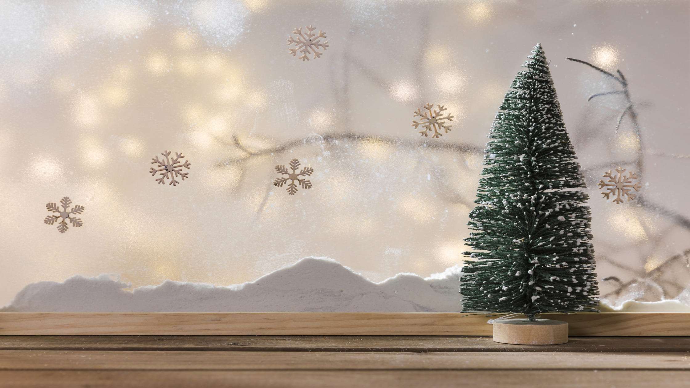 best christmas tree sales